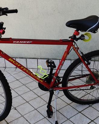 Mountain Bike Bottecchia 
