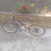 Bicicletta 