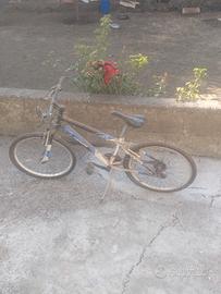 Bicicletta 