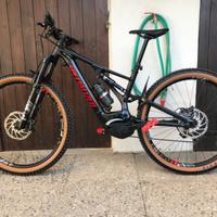 ebike