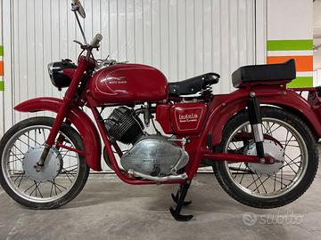 GUZZI LODOLA GT 250