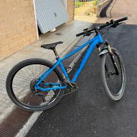 Mountain Bike muscolare - Lee Cougan