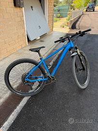 Mountain Bike muscolare - Lee Cougan