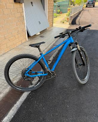 Mountain Bike muscolare - Lee Cougan