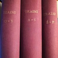 Vocabolario Arabo-Italiano -  1966 RARO