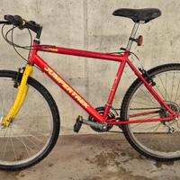 Bicicletta mountain bike taglia M ruote 26