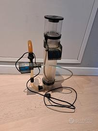 schiumatoio acquario marino