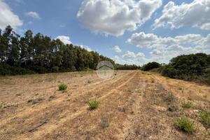 TER. AGRICOLO A ALGHERO