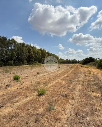 TER. AGRICOLO A ALGHERO