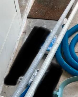 Asta piscina aspira universale in rete retino