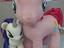 Immagine 2