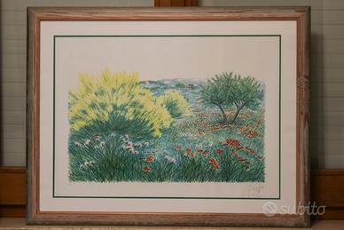 Ginestre - F. Azzinari (1985) - Litografia
