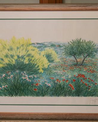 Ginestre - F. Azzinari (1985) - Litografia