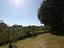 Immagine 27