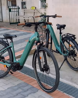 E-bike  rock rider E-ACTV500(S e  M ) con garanzia