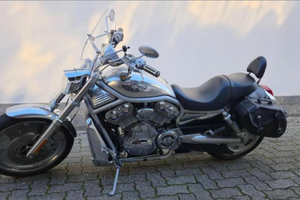 Harley Davidson V-Rod