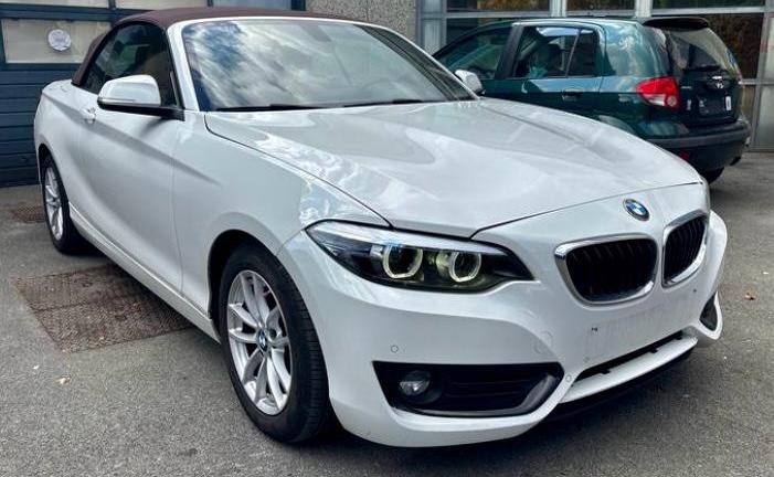 Bmw 218i Cabrio STEPTRONIC INTERNI IN PELLE MARRON