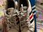Immagine 1