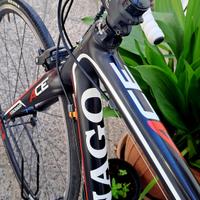 Bici da corsa Colnago ACE carbonio TG 52