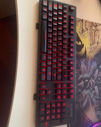 Tastiera meccanica Fnatic Gear – Layout ITA