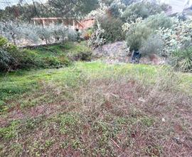 Zona Baccumandara: Terreno di 1000 metri