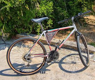 Bicicletta mountain bike uomo
