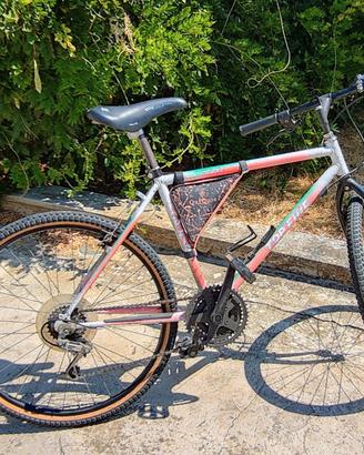 Bicicletta mountain bike uomo
