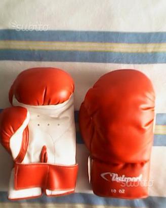 Guanti in pelle valsport kickbox