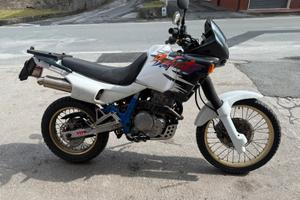 Honda dominator