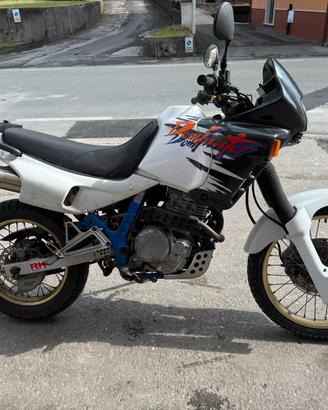 Honda dominator