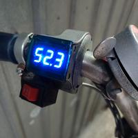 Graziella carnielli elettrica