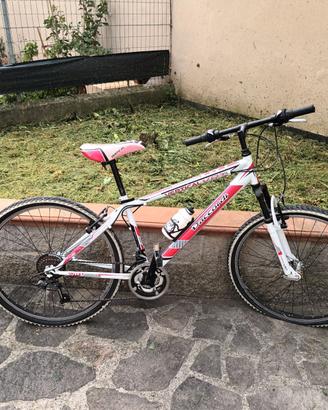 Mountain bike