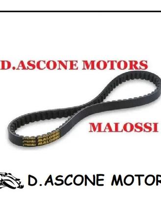 Cinghia Variatore Xmax Xcity 250 MALOSSI