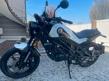 benelli leoncino 125