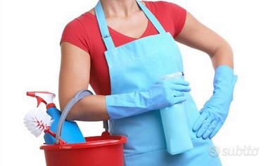 Addetta alle Pulizie / Collaboratrice domestica