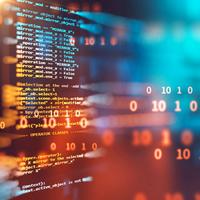 Informatico, Webmaster