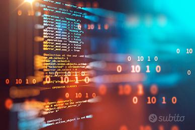 Informatico, Webmaster