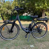 Bici elettrica 