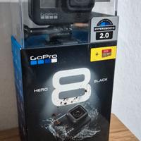 Go Pro 8