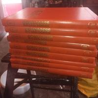 Enciclopedia conoscere oggi e domani 