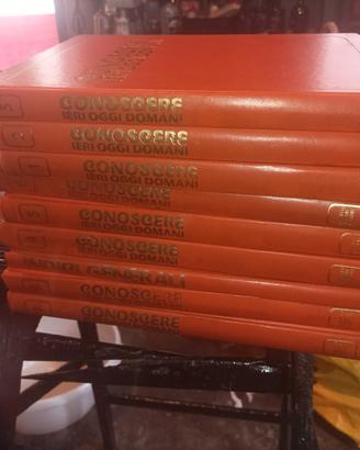 Enciclopedia conoscere oggi e domani 