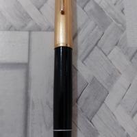 penna stilografica AURORA