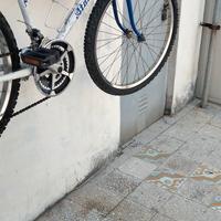 bici MTB 24"