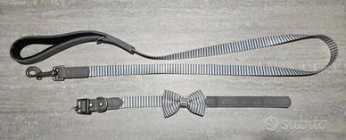collare e guinzaglio grigi e bianchi con papillon