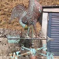 gallo con rosa dei venti