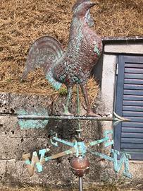 gallo con rosa dei venti