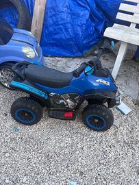 Quad elettrico