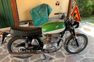 MV AGUSTA -  EDIZIONE LIMITATA - particolare