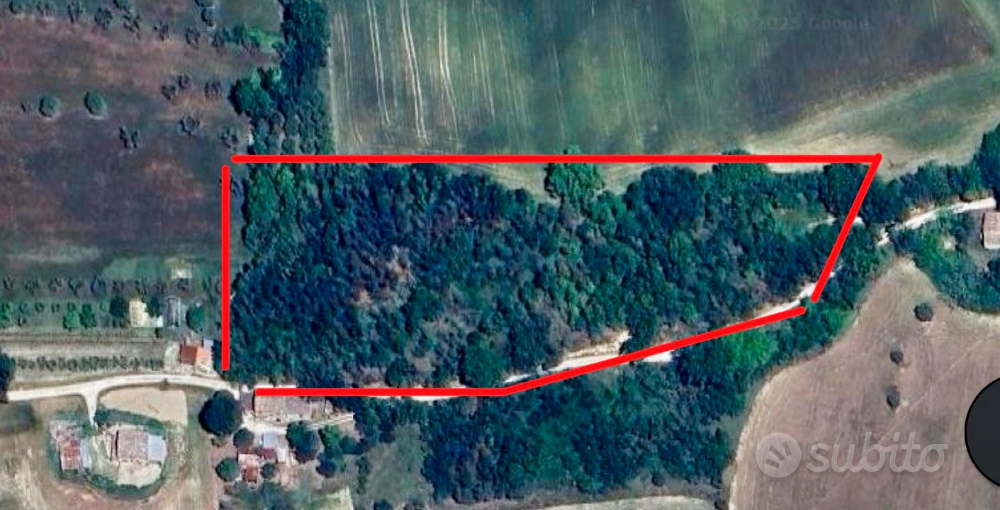 Terreno agricolo seminativo Montegiorgio - Vista 5