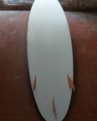 Surfino Cabrina 5.6"